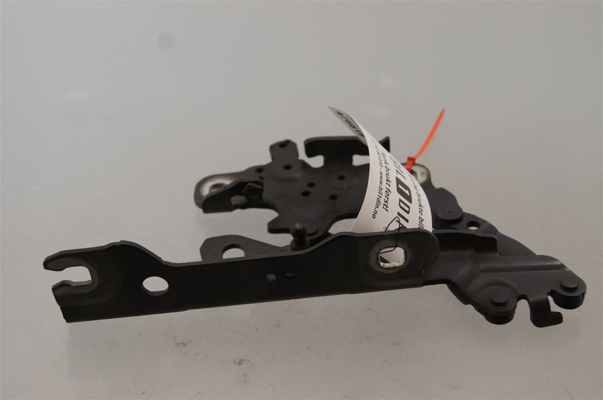 Panser Hengsel / Hengsler – bilde 2