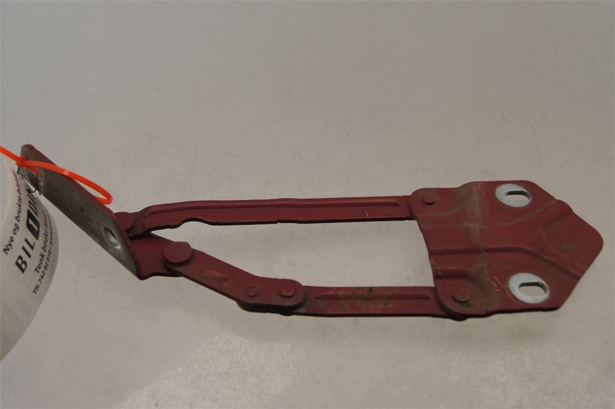Panser Hengsel / Hengsler – bilde 1