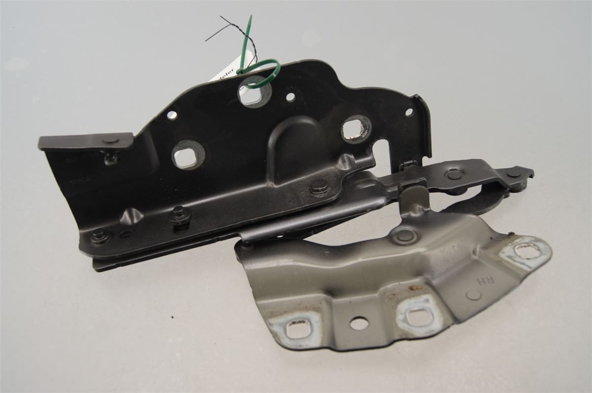Panser Hengsel / Hengsler – bilde 1