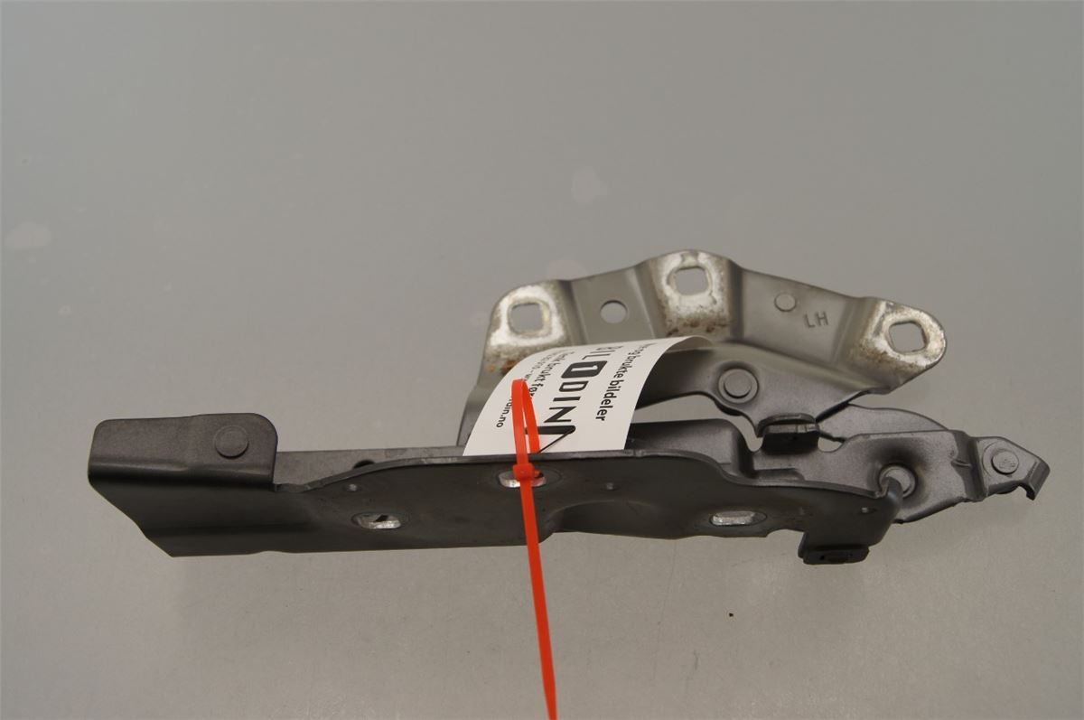 Panser Hengsel / Hengsler – bilde 2
