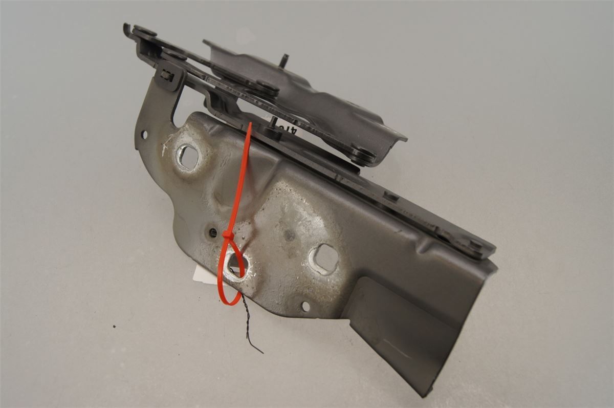 Panser Hengsel / Hengsler – bilde 3