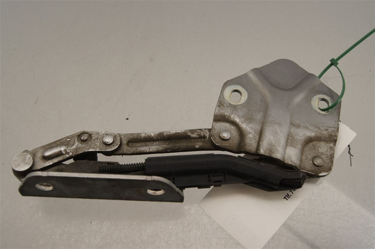Panser Hengsel / Hengsler – bilde 1