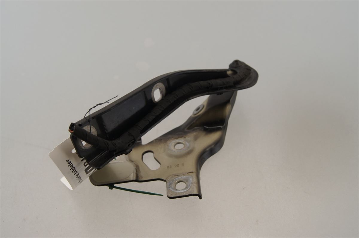Panser Hengsel / Hengsler – bilde 1