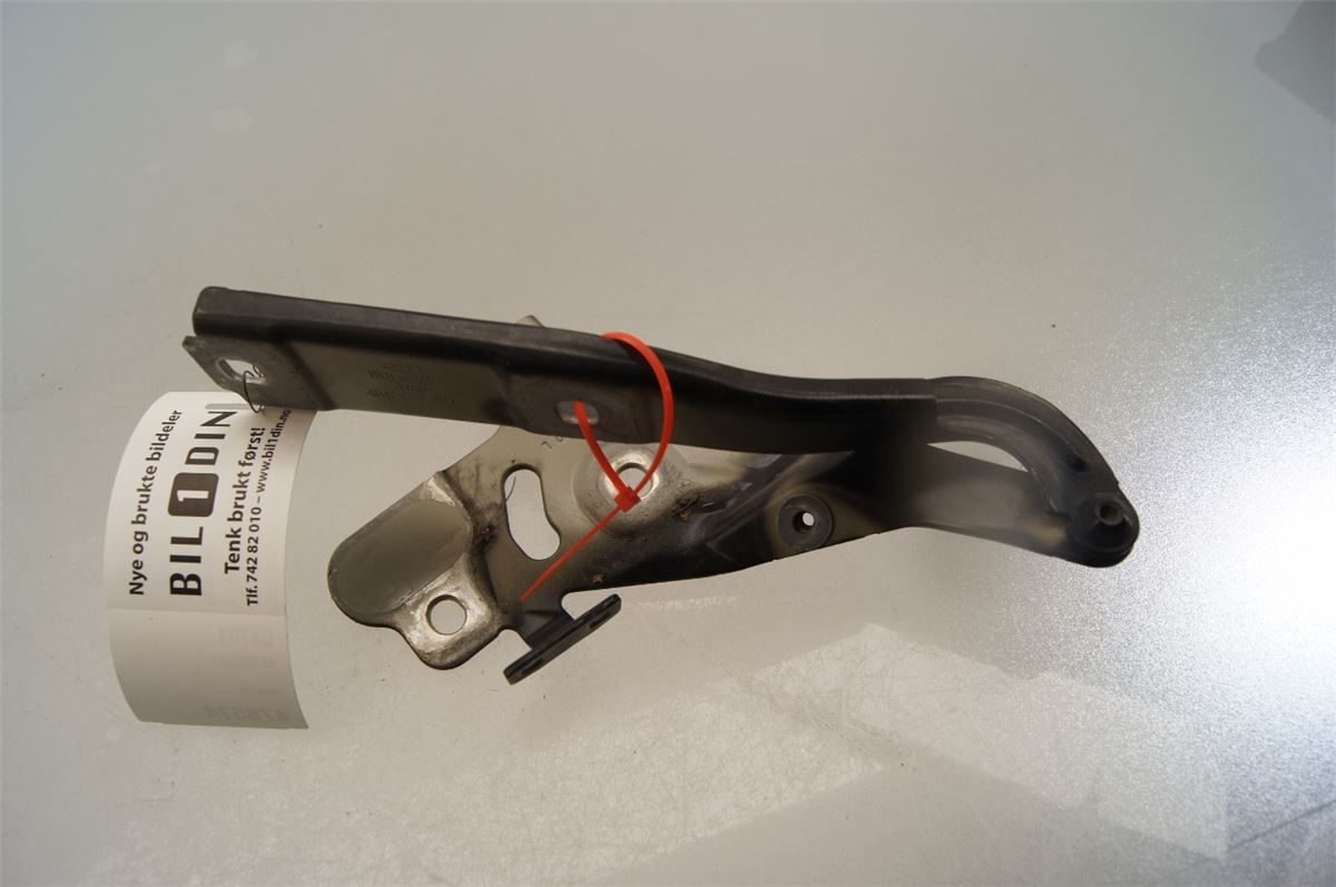 Panser Hengsel / Hengsler – bilde 1