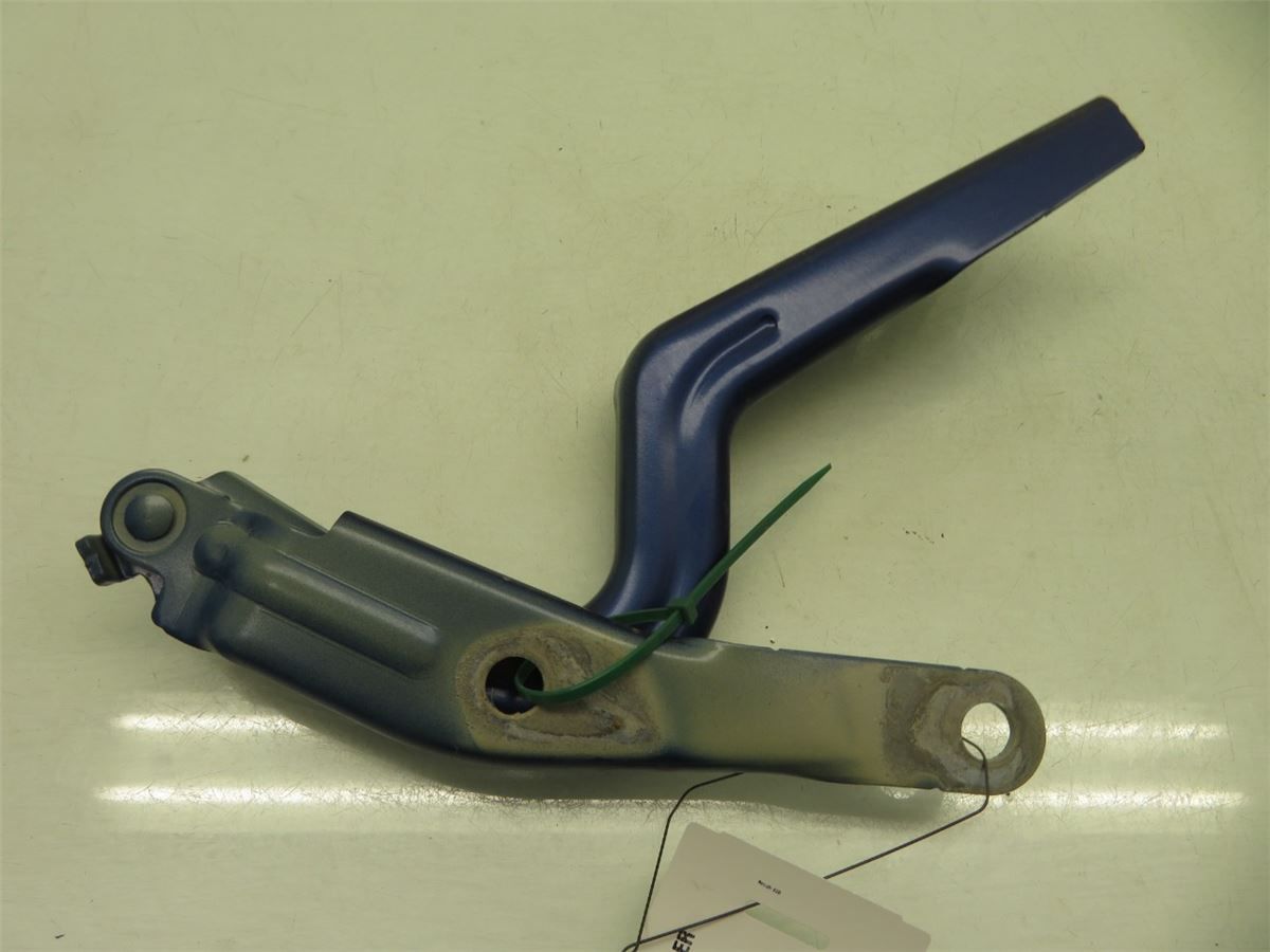 Panser Hengsel / Hengsler – bilde 2