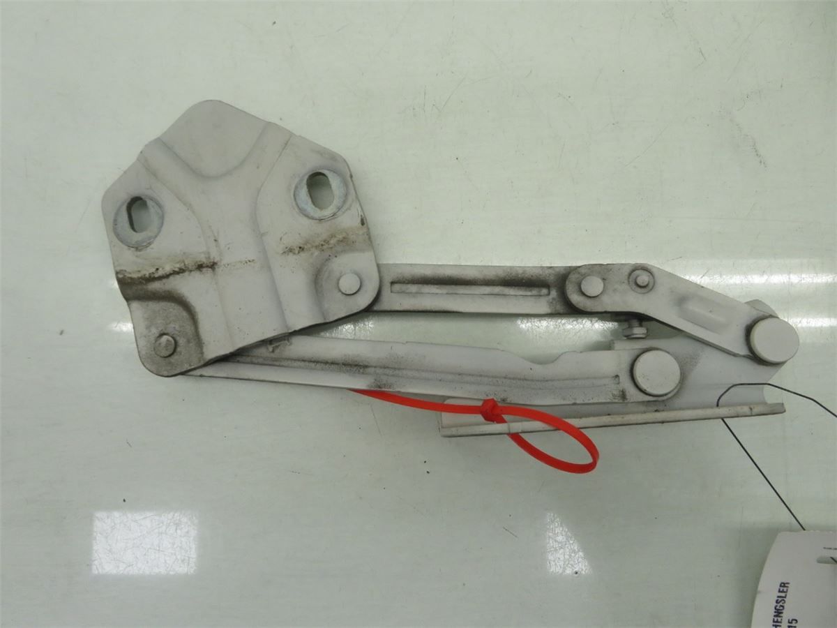 Panser Hengsel / Hengsler – bilde 1