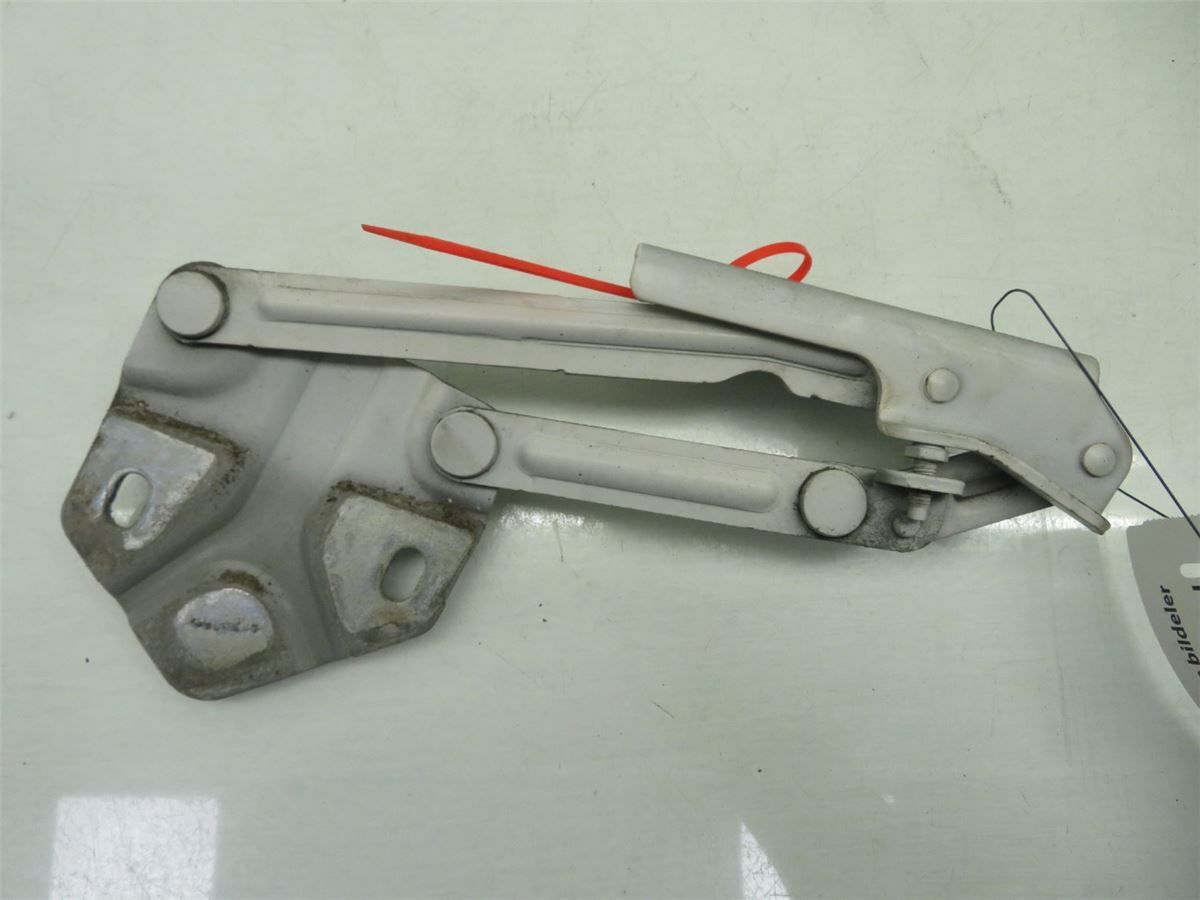 Panser Hengsel / Hengsler – bilde 2