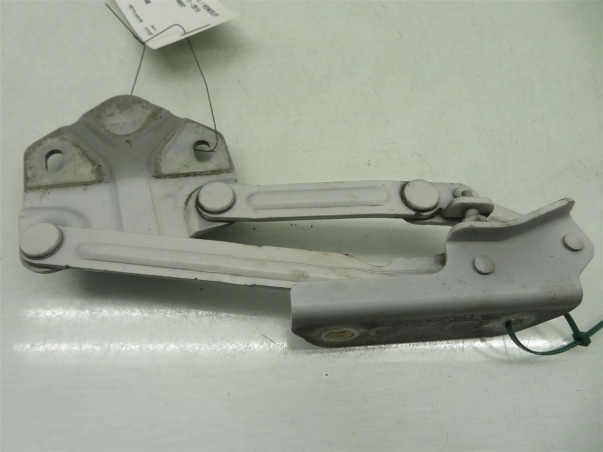 Panser Hengsel / Hengsler – bilde 2