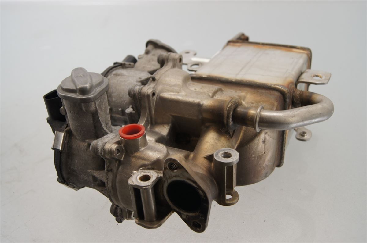 Eksos Kjøler – bilde 2
