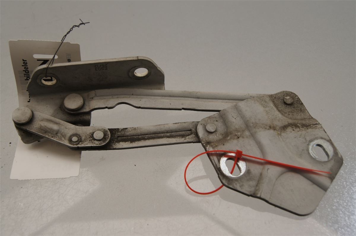 Panser Hengsel / Hengsler – bilde 1