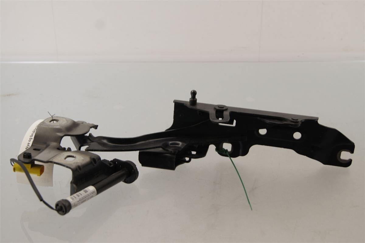 Panser Hengsel / Hengsler – bilde 1