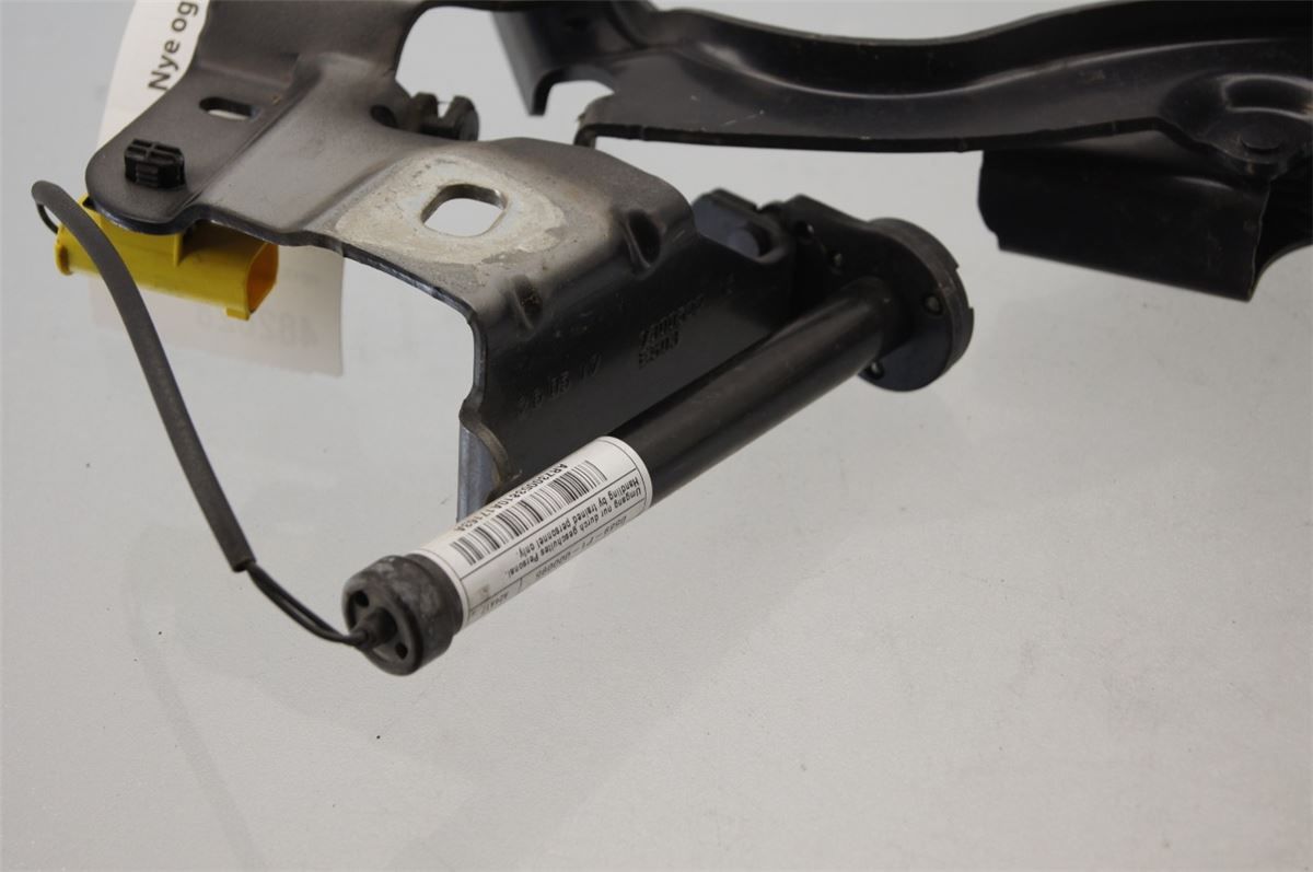 Panser Hengsel / Hengsler – bilde 2