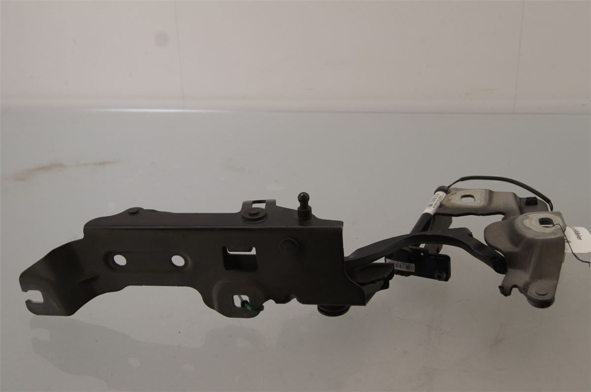Panser Hengsel / Hengsler – bilde 3