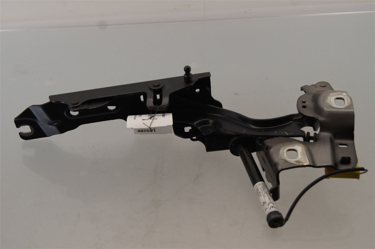 Panser Hengsel / Hengsler – bilde 1
