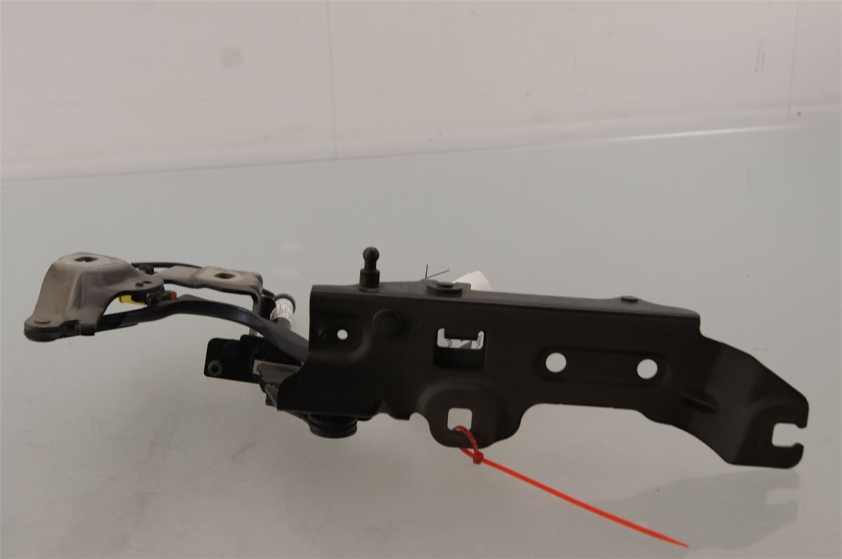 Panser Hengsel / Hengsler – bilde 3