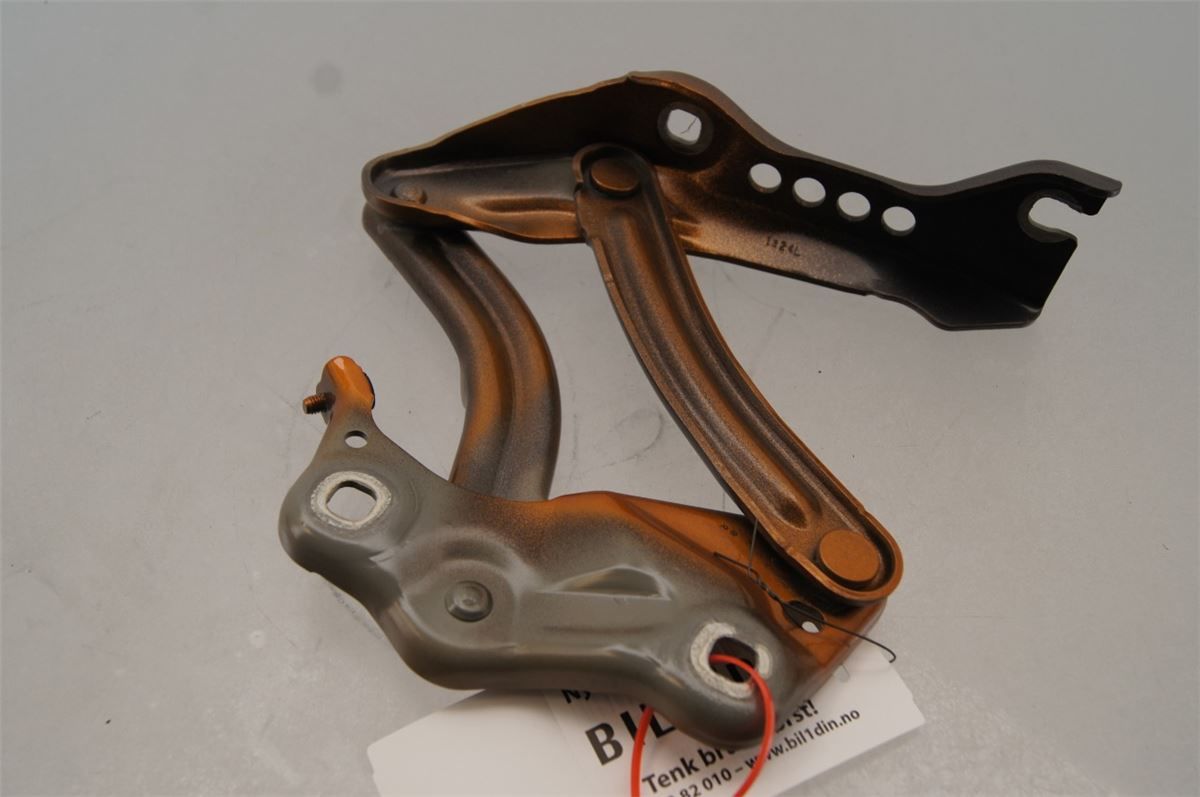 Panser Hengsel / Hengsler – bilde 2