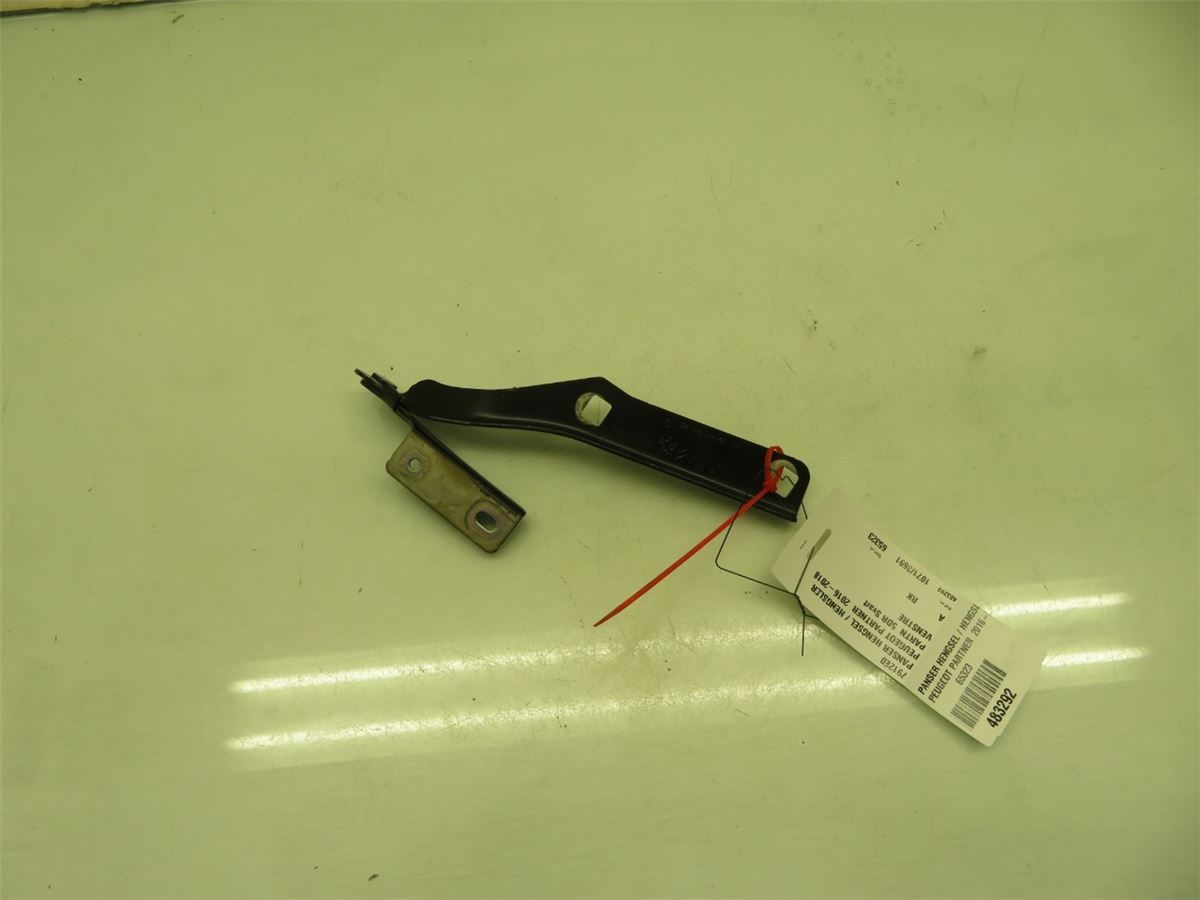 Panser Hengsel / Hengsler – bilde 2