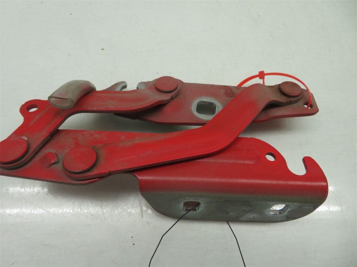Panser Hengsel / Hengsler – bilde 1