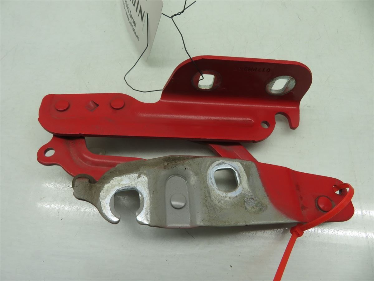 Panser Hengsel / Hengsler – bilde 2