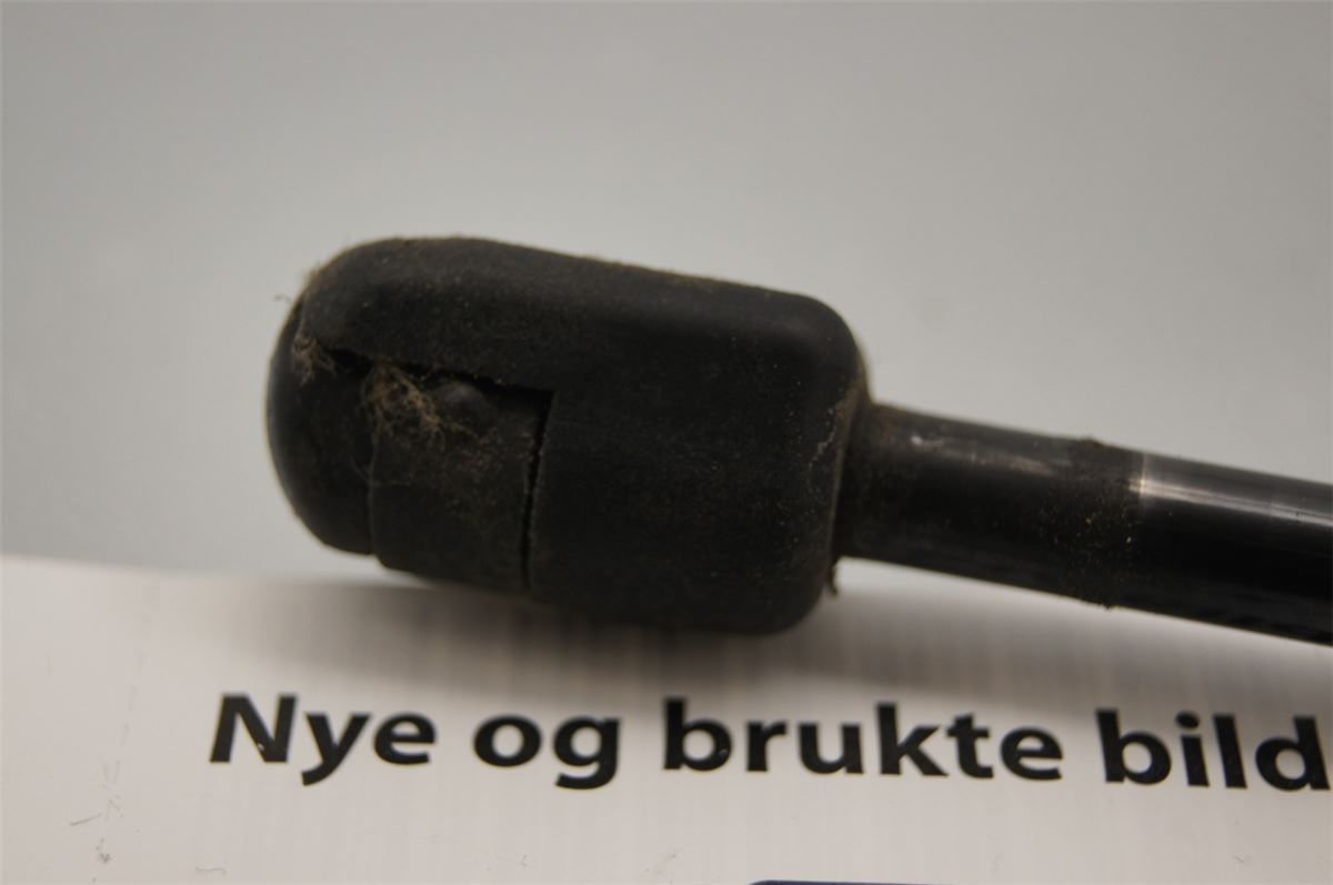 Bakluke Demper / Gassfjær – bilde 3