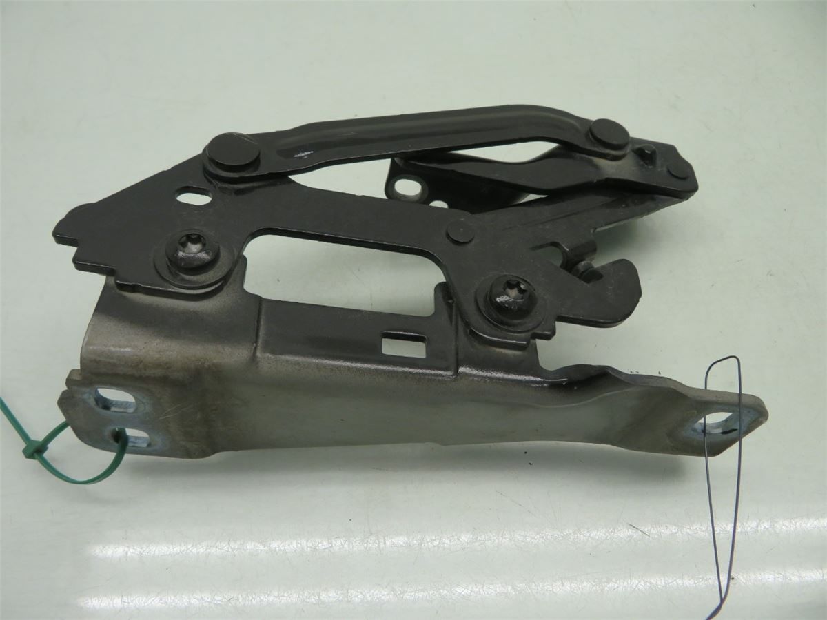 Panser Hengsel / Hengsler – bilde 1