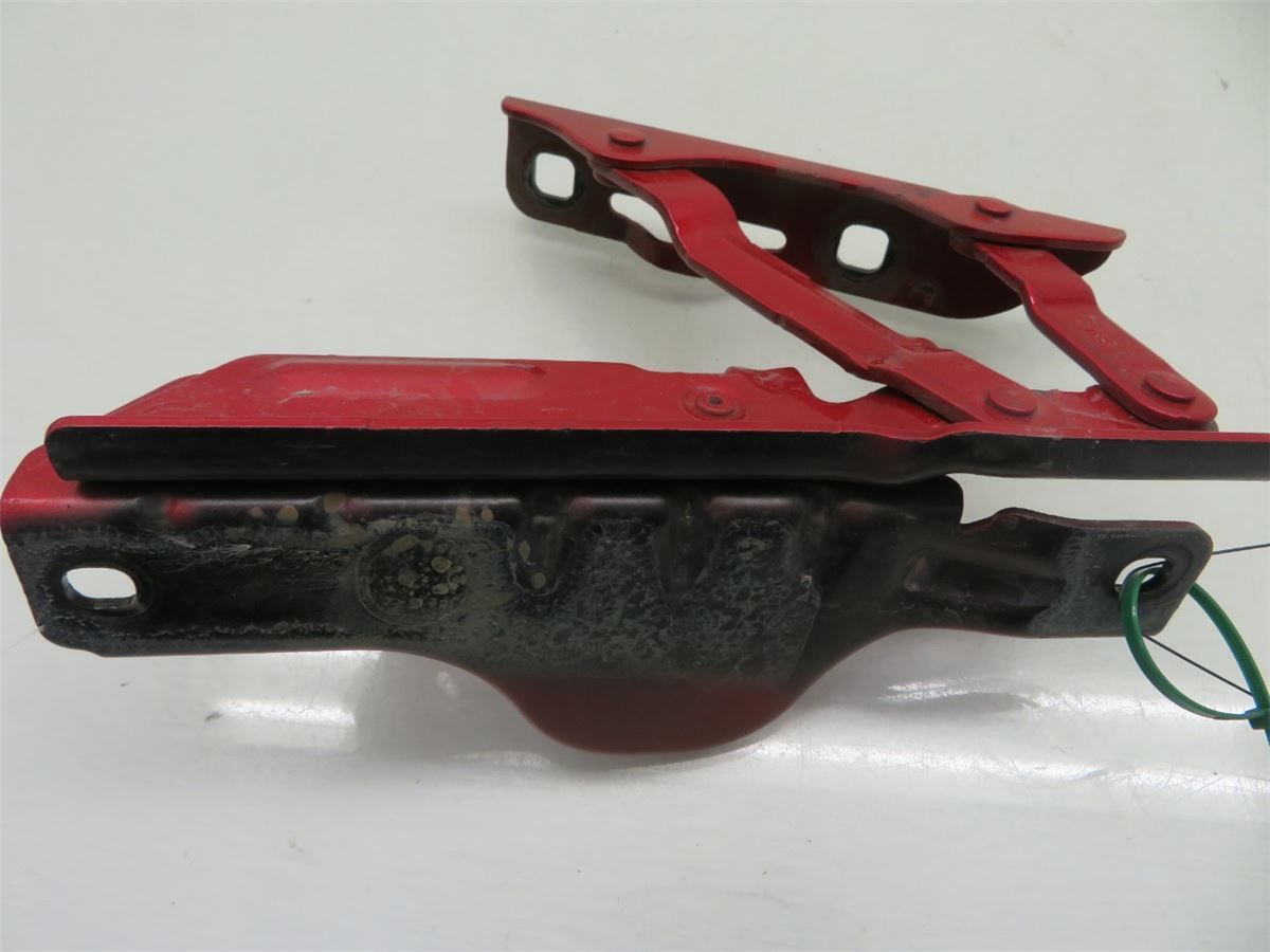 Panser Hengsel / Hengsler – bilde 3