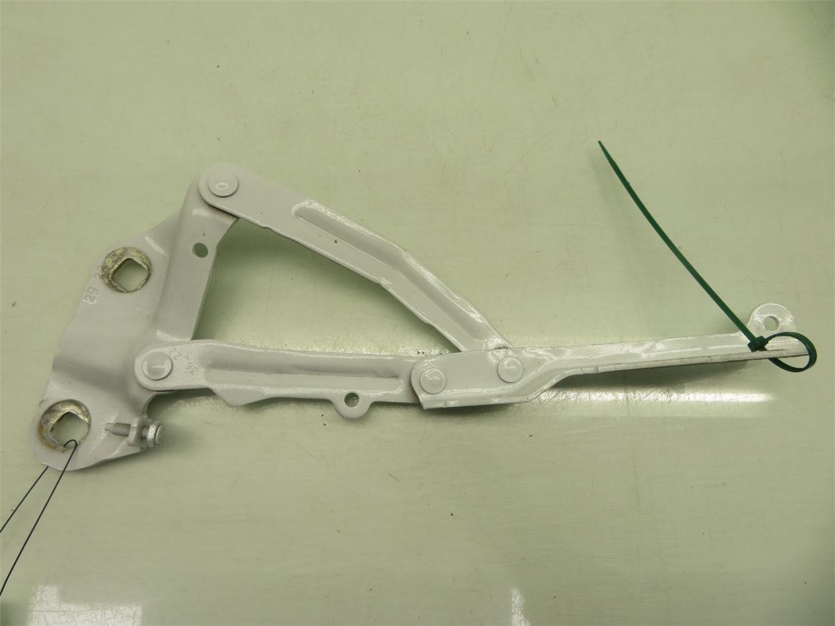 Panser Hengsel / Hengsler – bilde 1