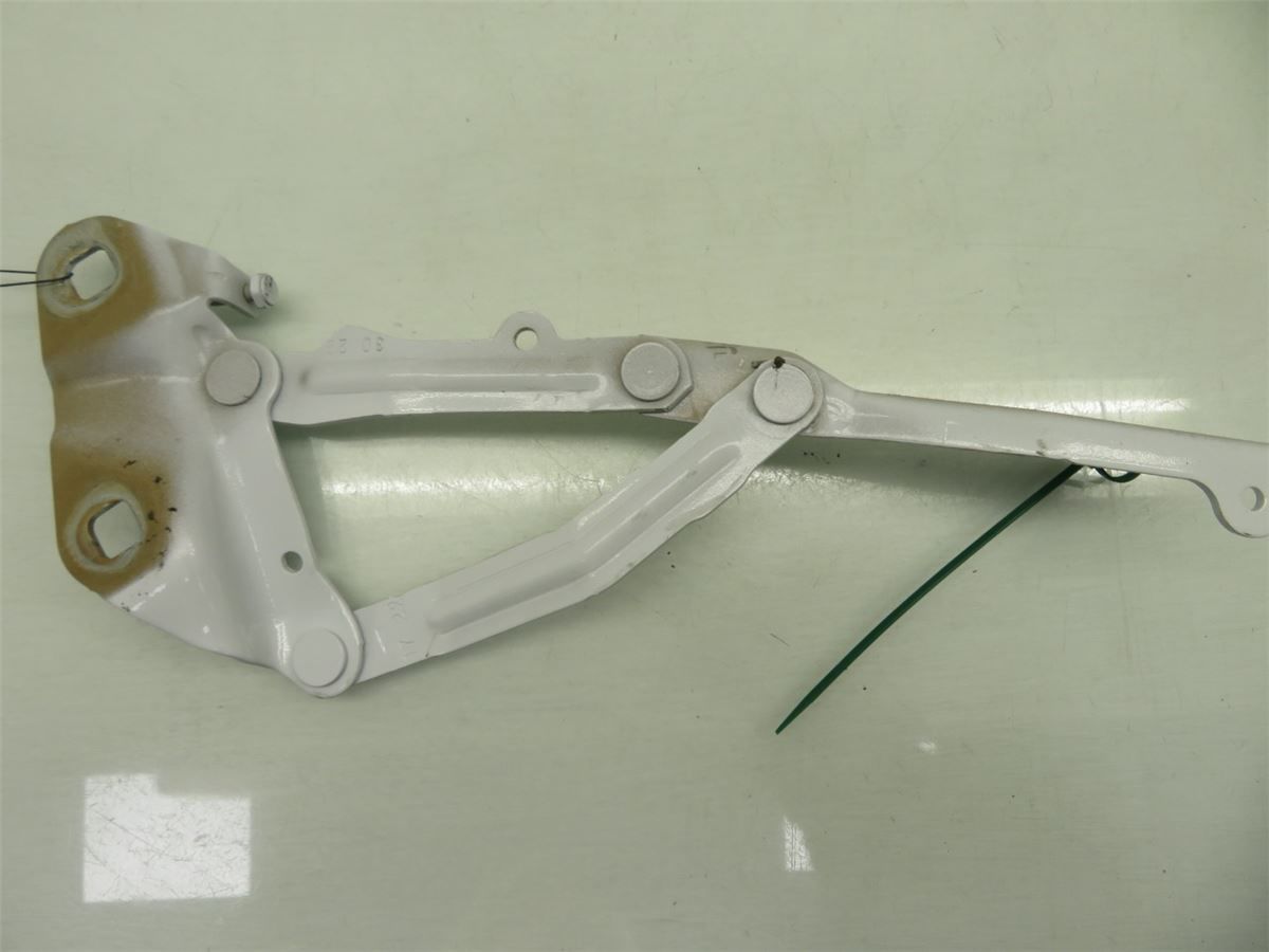 Panser Hengsel / Hengsler – bilde 2