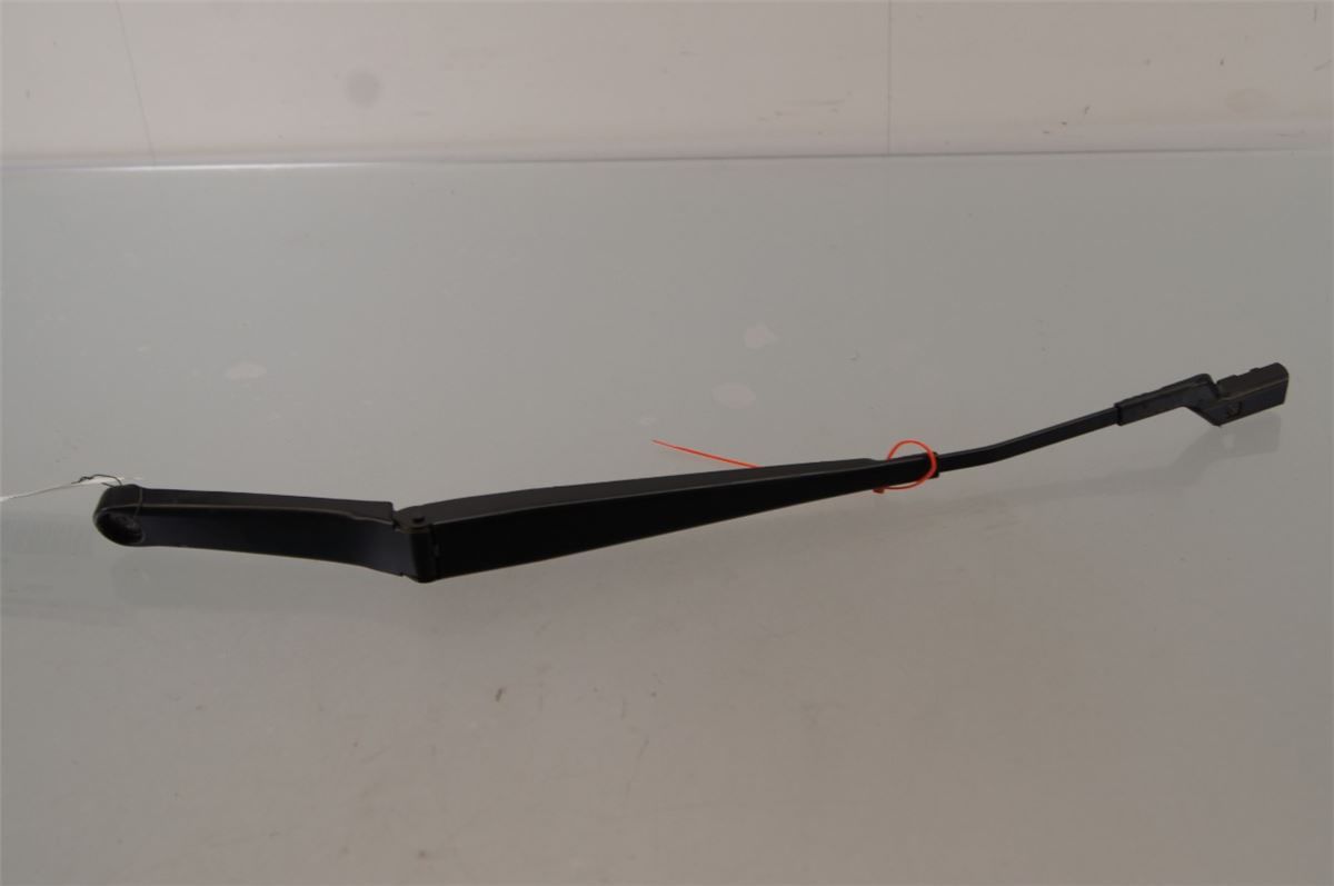 Viskerarm / Armer Frontrute – bilde 1