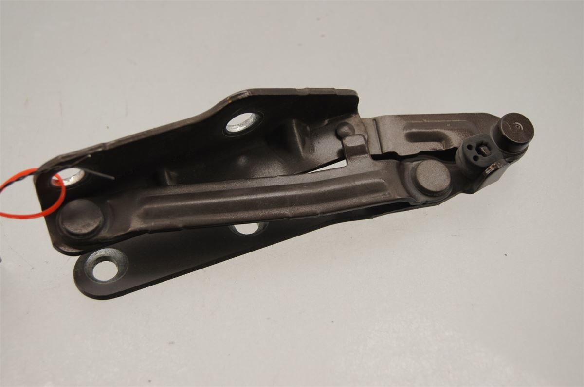 Panser Hengsel / Hengsler – bilde 1