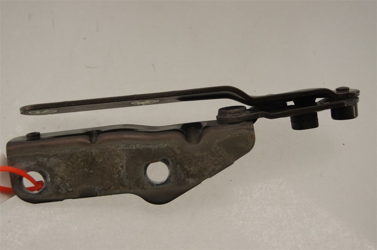 Panser Hengsel / Hengsler – bilde 3