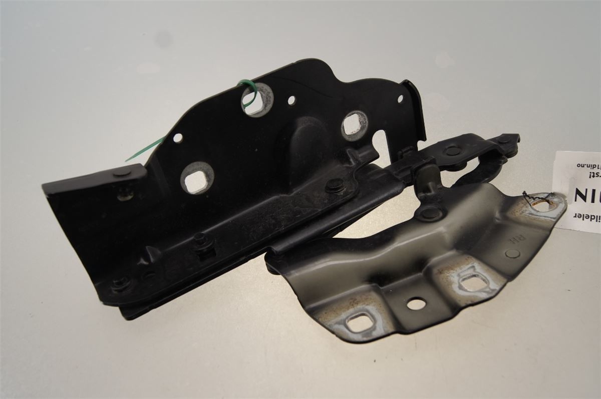 Panser Hengsel / Hengsler – bilde 2