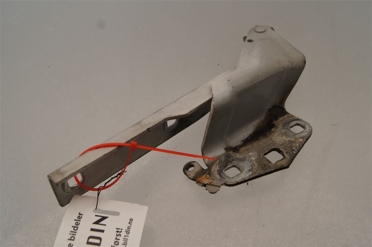 Panser Hengsel / Hengsler – bilde 1