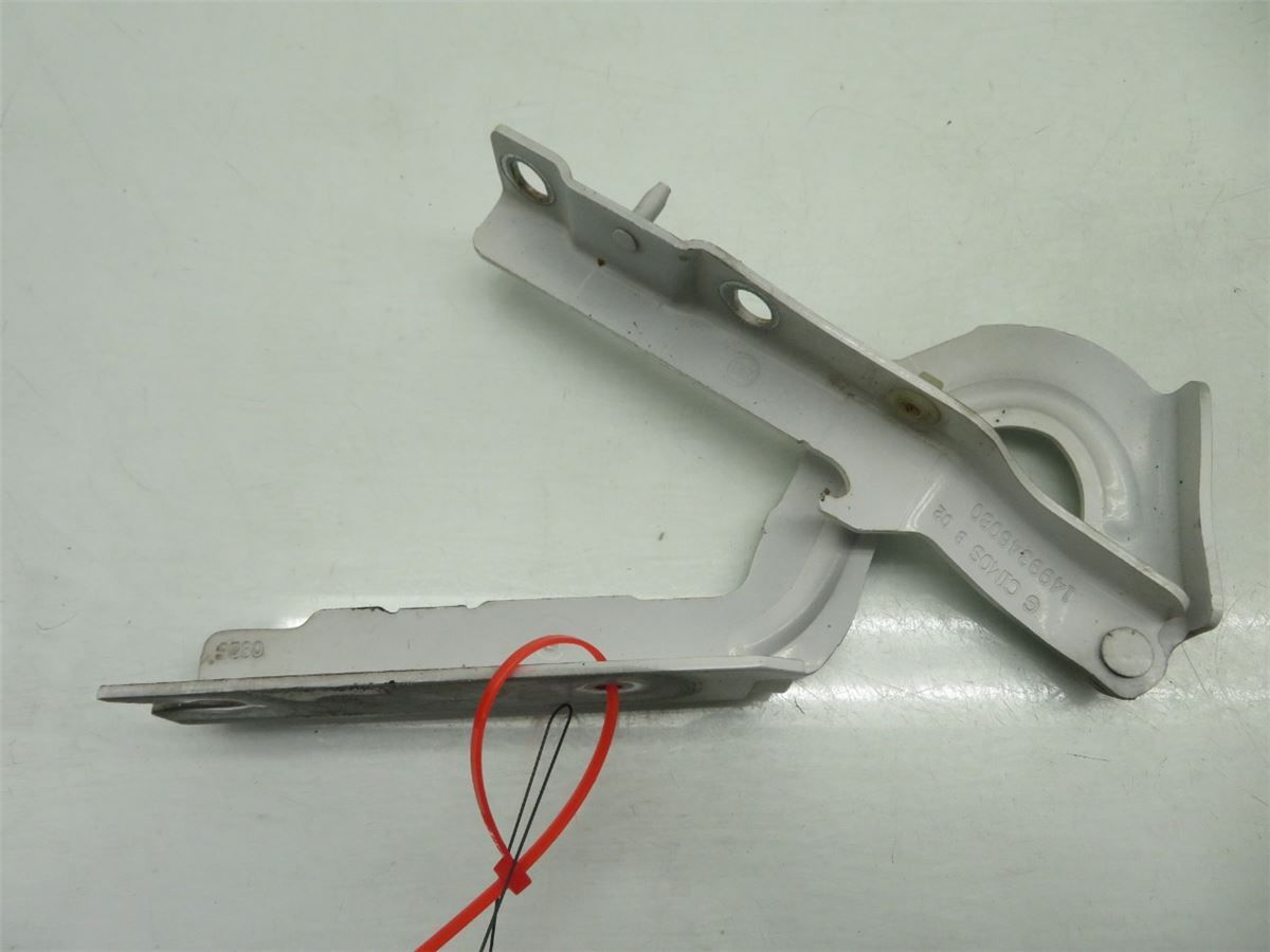 Panser Hengsel / Hengsler – bilde 1
