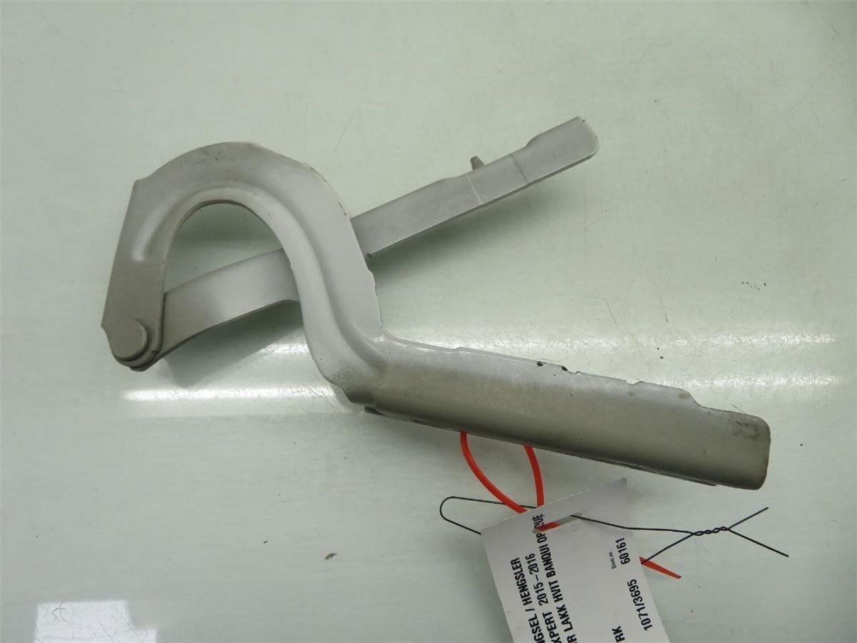 Panser Hengsel / Hengsler – bilde 3