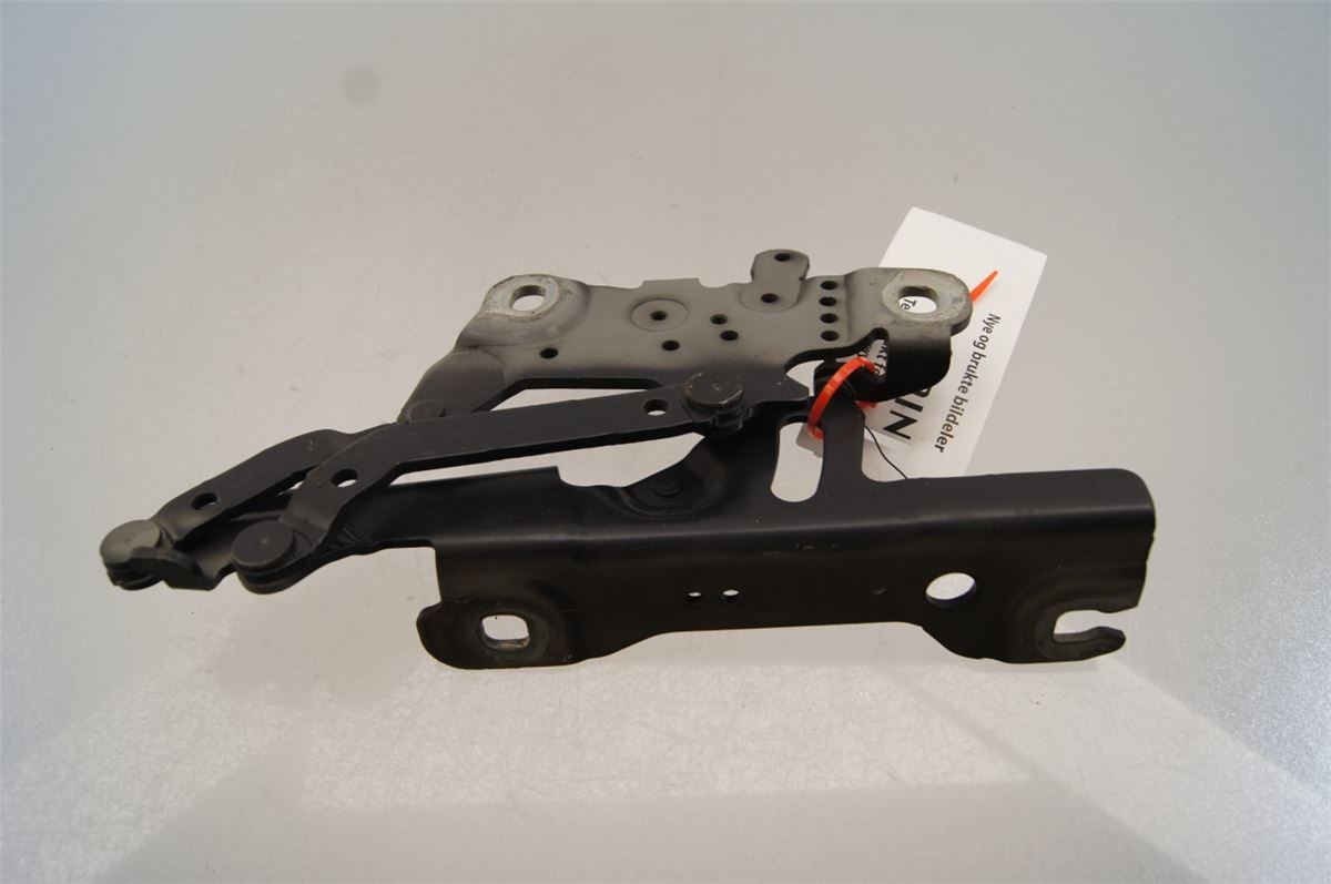 Panser Hengsel / Hengsler – bilde 2