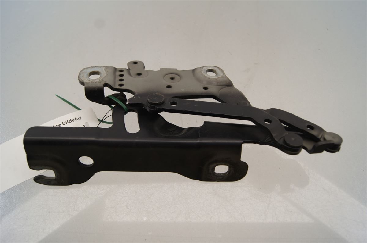 Panser Hengsel / Hengsler – bilde 2