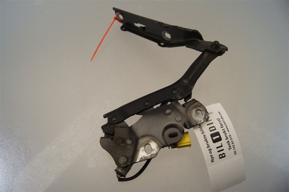 Panser Hengsel / Hengsler – bilde 1