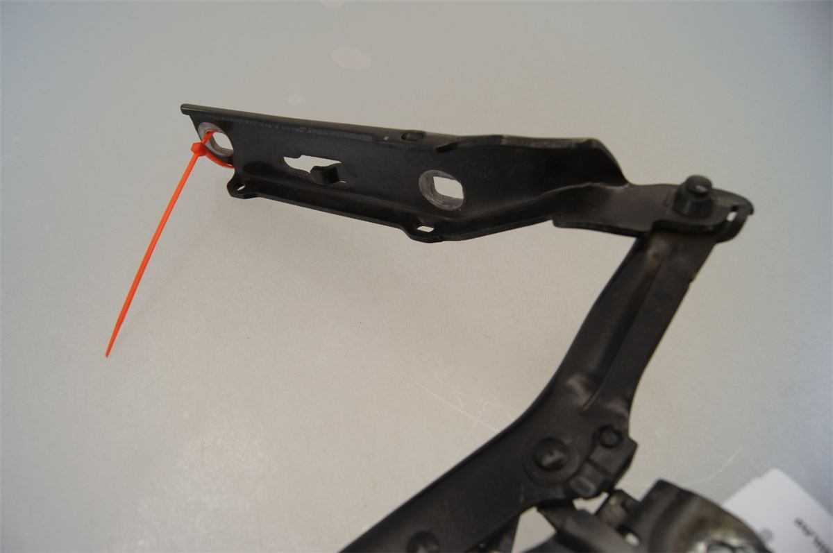 Panser Hengsel / Hengsler – bilde 2