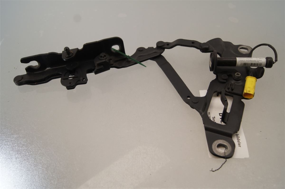 Panser Hengsel / Hengsler – bilde 1