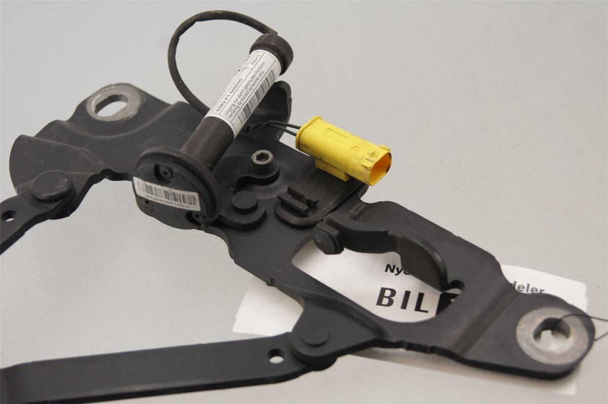 Panser Hengsel / Hengsler – bilde 3