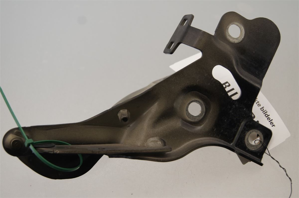Panser Hengsel / Hengsler – bilde 1