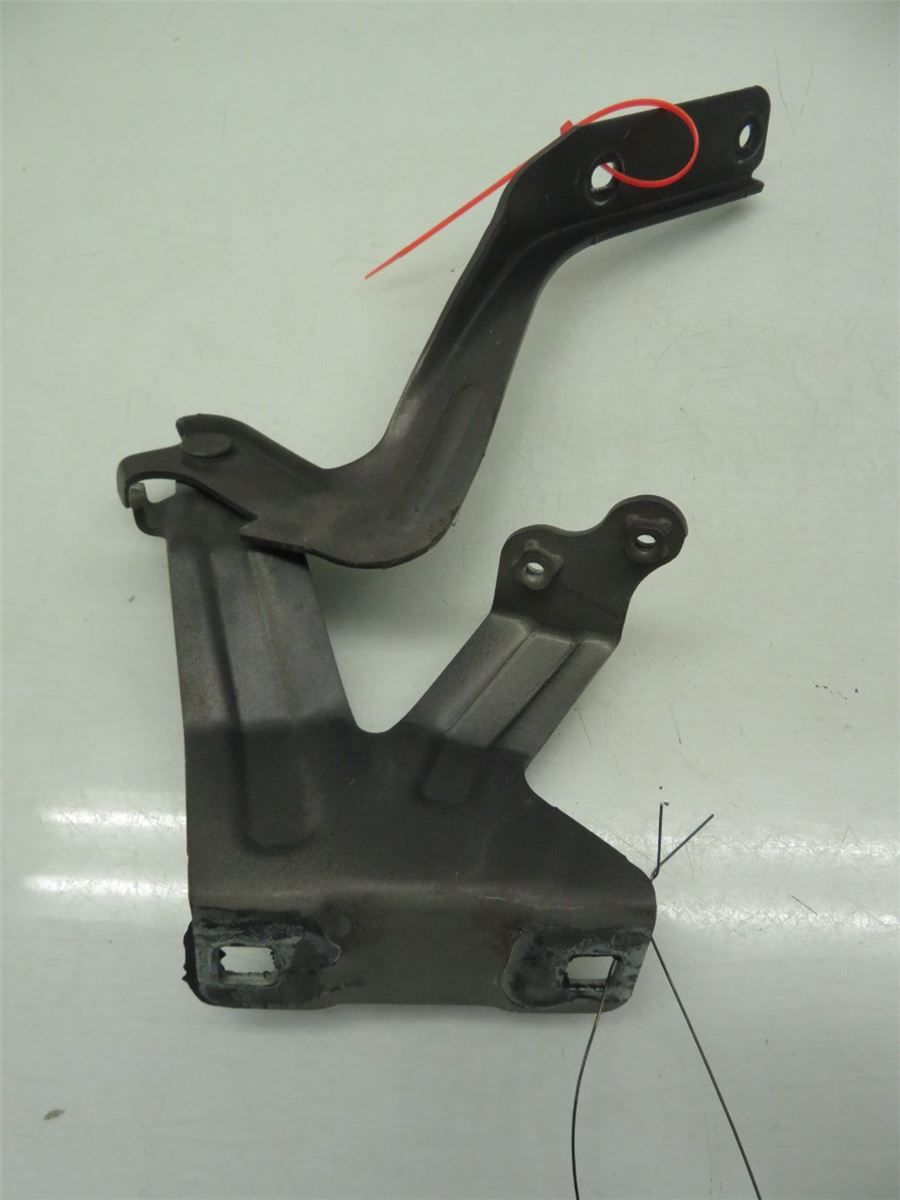 Panser Hengsel / Hengsler – bilde 3