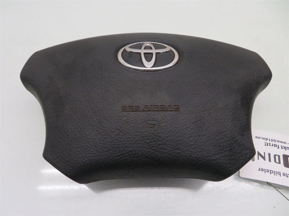 Airbag Rattpute – bilde 1