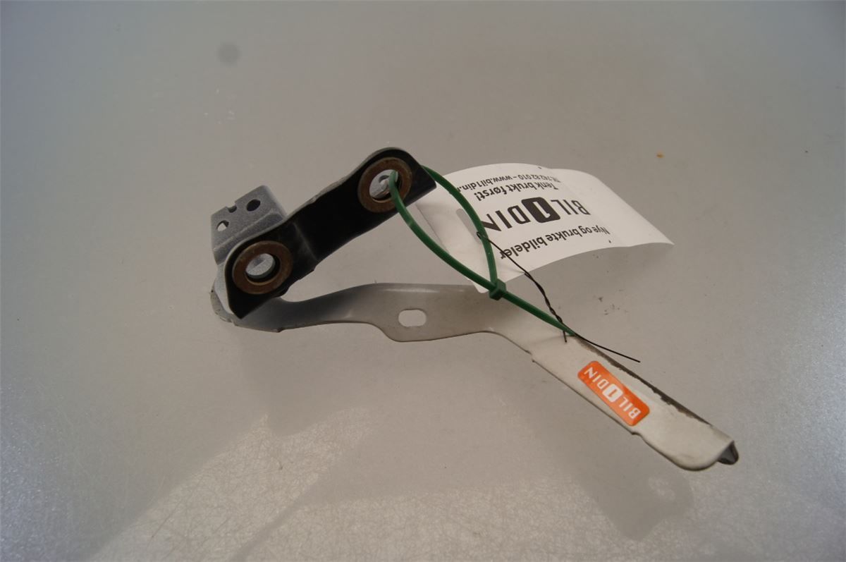 Panser Hengsel / Hengsler – bilde 1