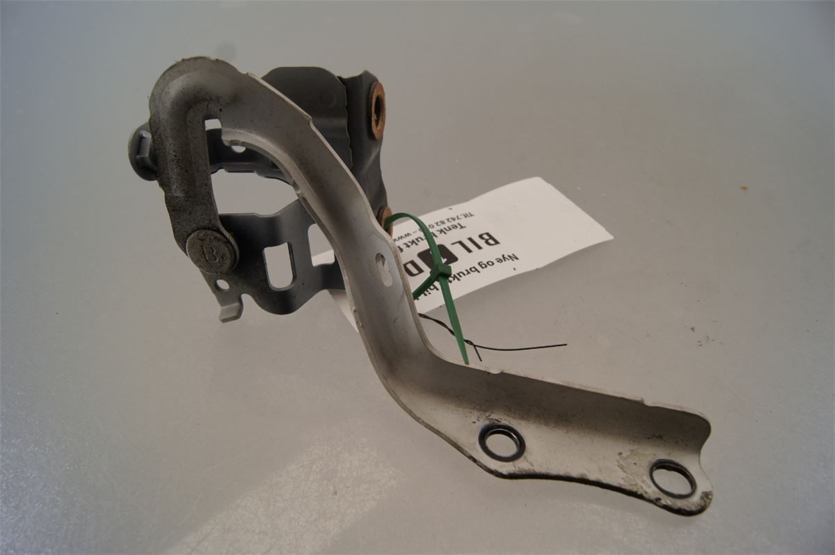 Panser Hengsel / Hengsler – bilde 3