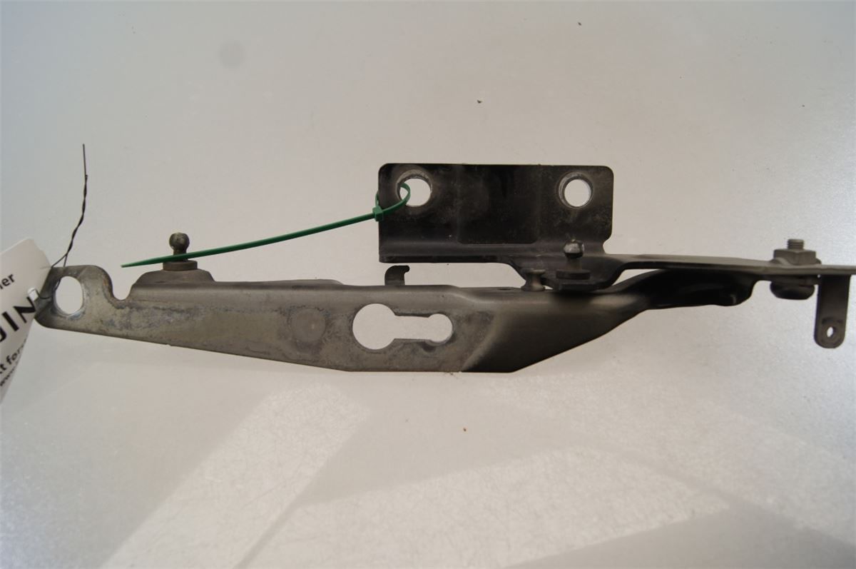 Panser Hengsel / Hengsler – bilde 1