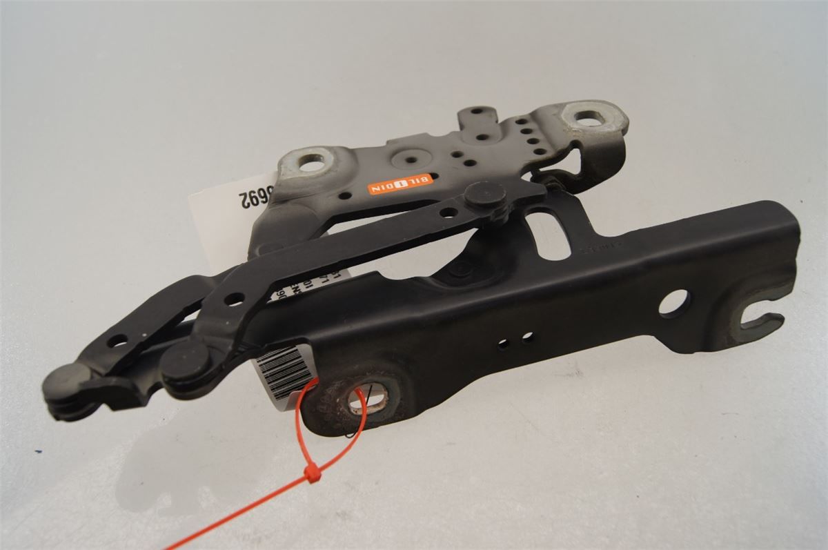 Panser Hengsel / Hengsler – bilde 2