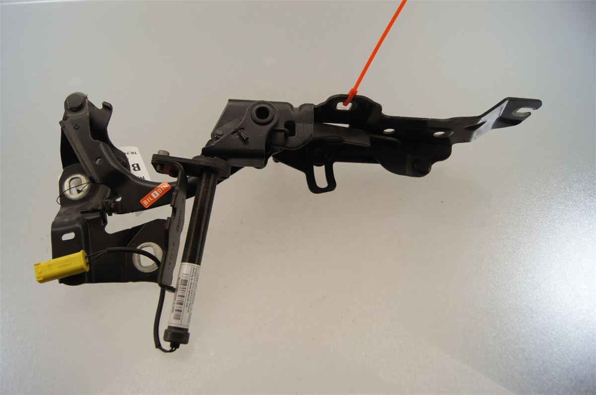 Panser Hengsel / Hengsler – bilde 1