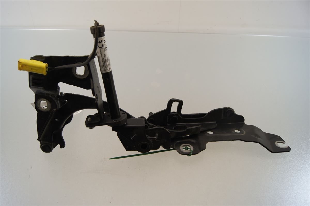 Panser Hengsel / Hengsler – bilde 1
